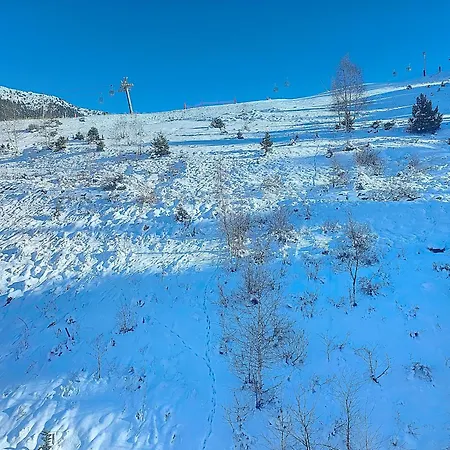 1650 -front De Neige Mountain View 7s09 Apartment *